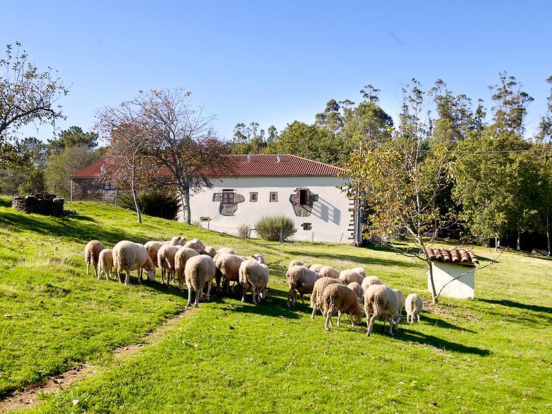 A Pena de Augasantas Oca de Abaixo Exterior foto
