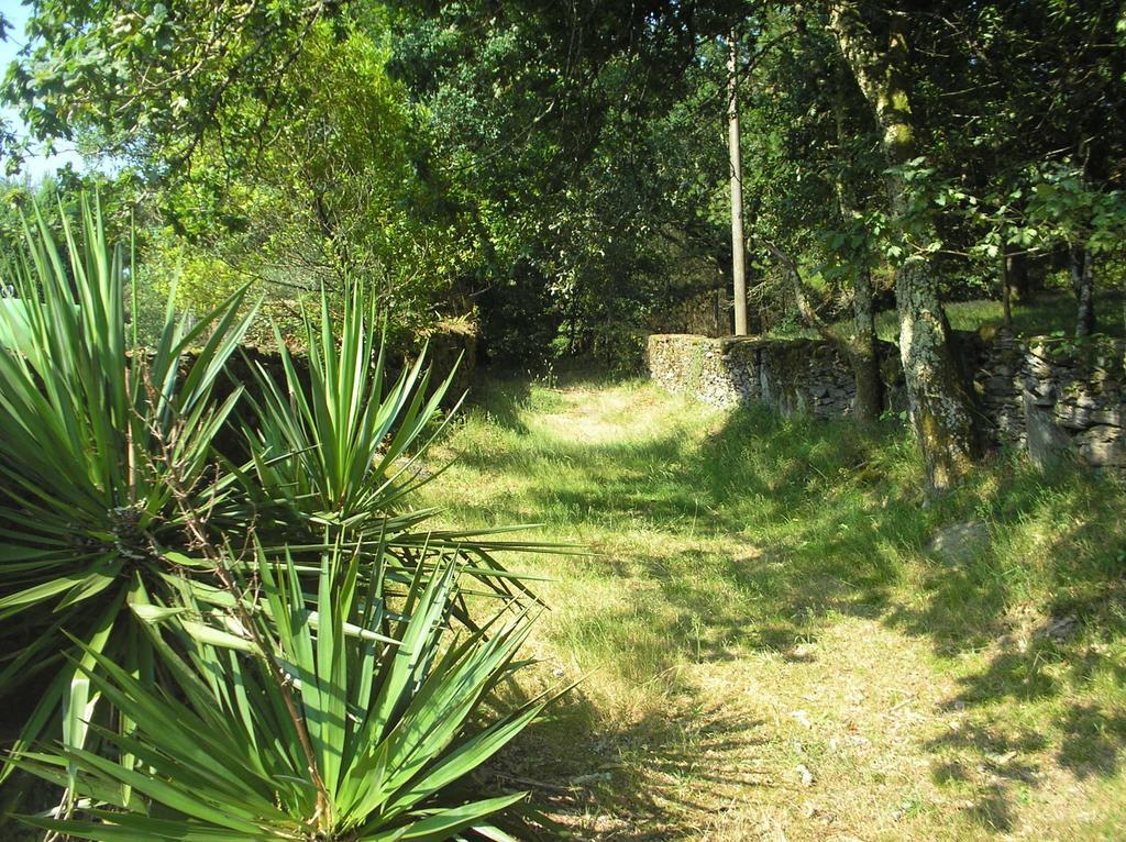 A Pena de Augasantas Oca de Abaixo Exterior foto