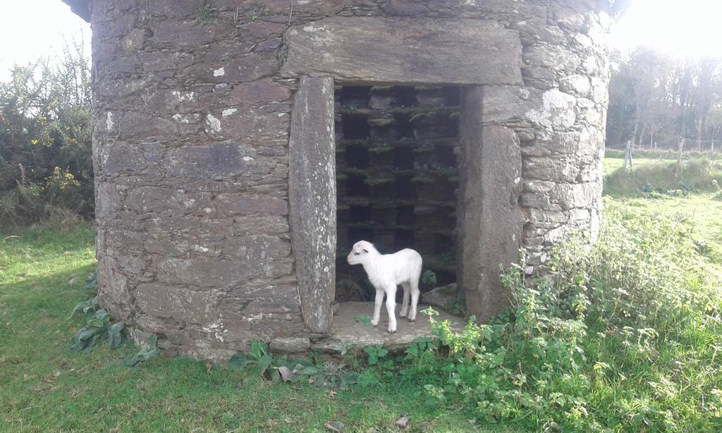 A Pena de Augasantas Oca de Abaixo Exterior foto